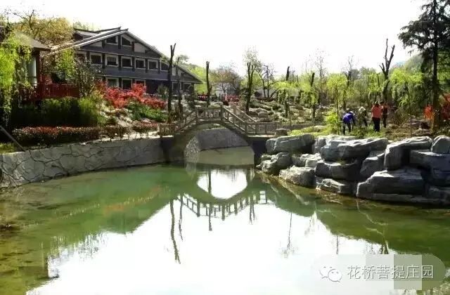 這個周末，隴南康縣花橋有大事要發(fā)生？