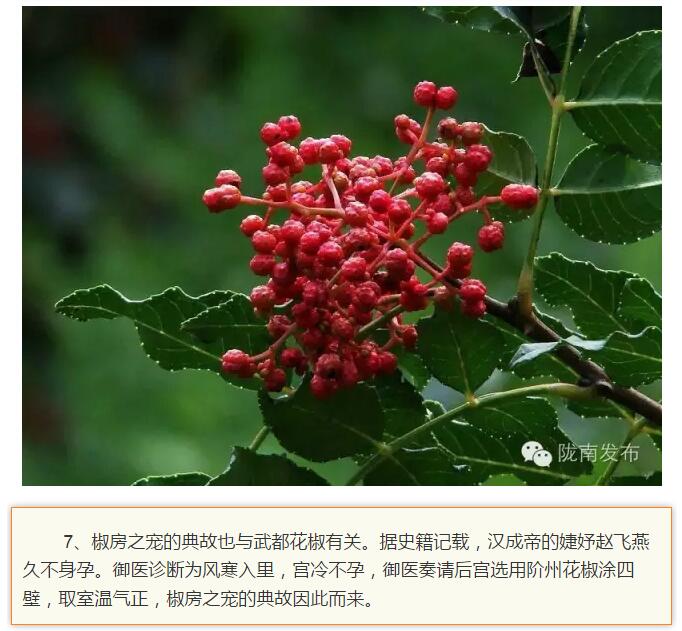 蘭渝鐵路最早由孫中山先生提出？在隴南，你不知道的事兒還有……