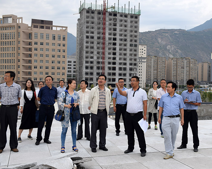 省、市聯(lián)合工作組蒞臨階州廣場檢查指導(dǎo)工作