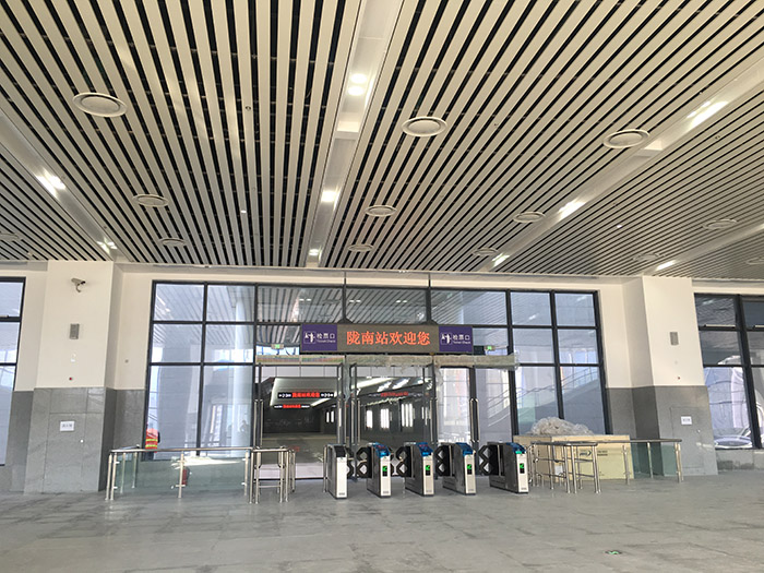 全國、省市政協(xié)委員體驗蘭渝鐵路、視察階州廣場