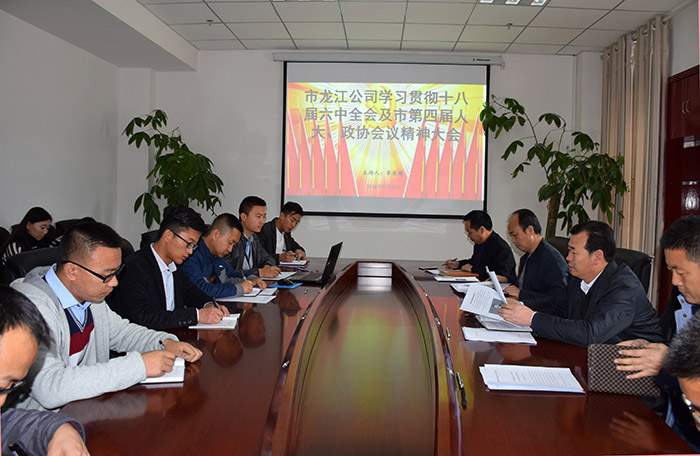 市龍江公司召開全體員工大會，專題傳達學習上級會議精神