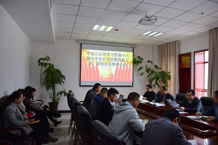 市龍江公司召開全體員工大會，專題傳達學習上級會議精神