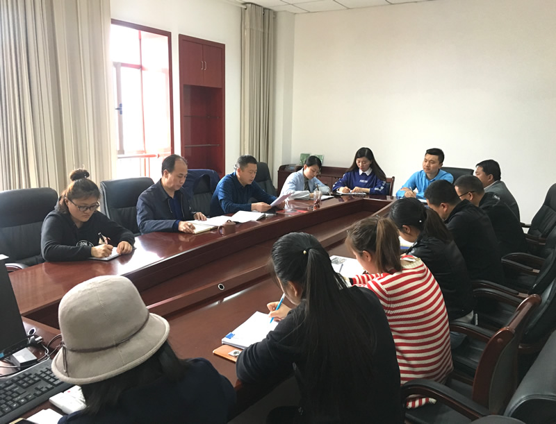 市龍江城鄉(xiāng)發(fā)展集團(tuán)專題學(xué)習(xí)近期中央、省、市紀(jì)律檢查委員會(huì)議精神