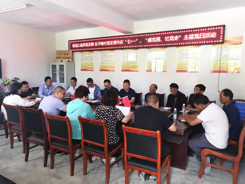 “感黨恩、憶黨史”，--市龍江城鄉(xiāng)發(fā)展集團(tuán)公司開展慶祝建黨99周年主題黨日活動(dòng)