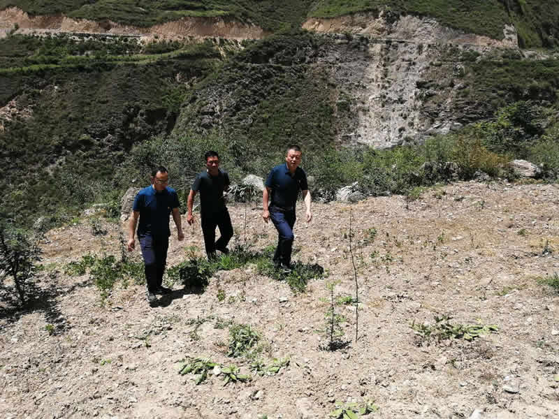 “感黨恩、憶黨史”，--市龍江城鄉(xiāng)發(fā)展集團(tuán)公司開展慶祝建黨99周年主題黨日活動(dòng)